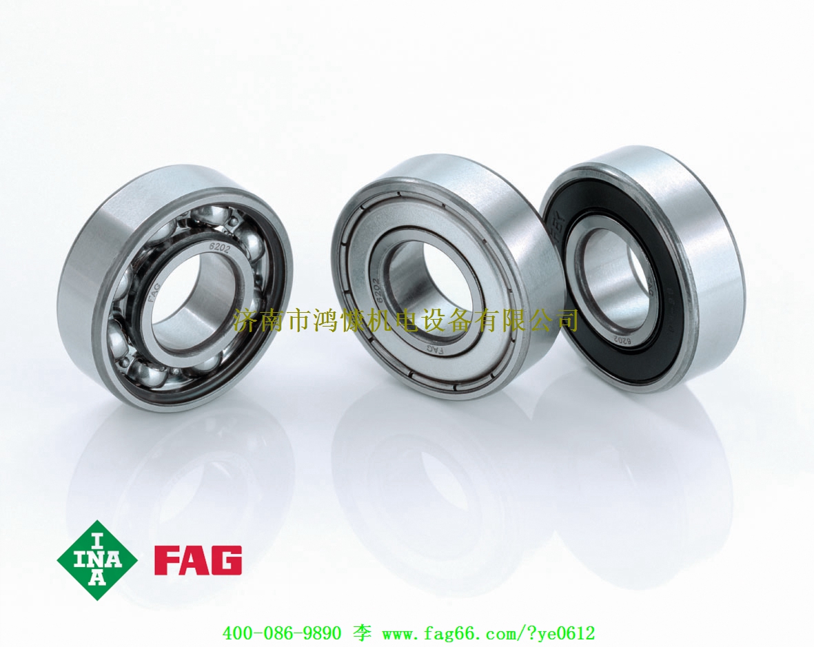 濟南進(jìn)口軸承